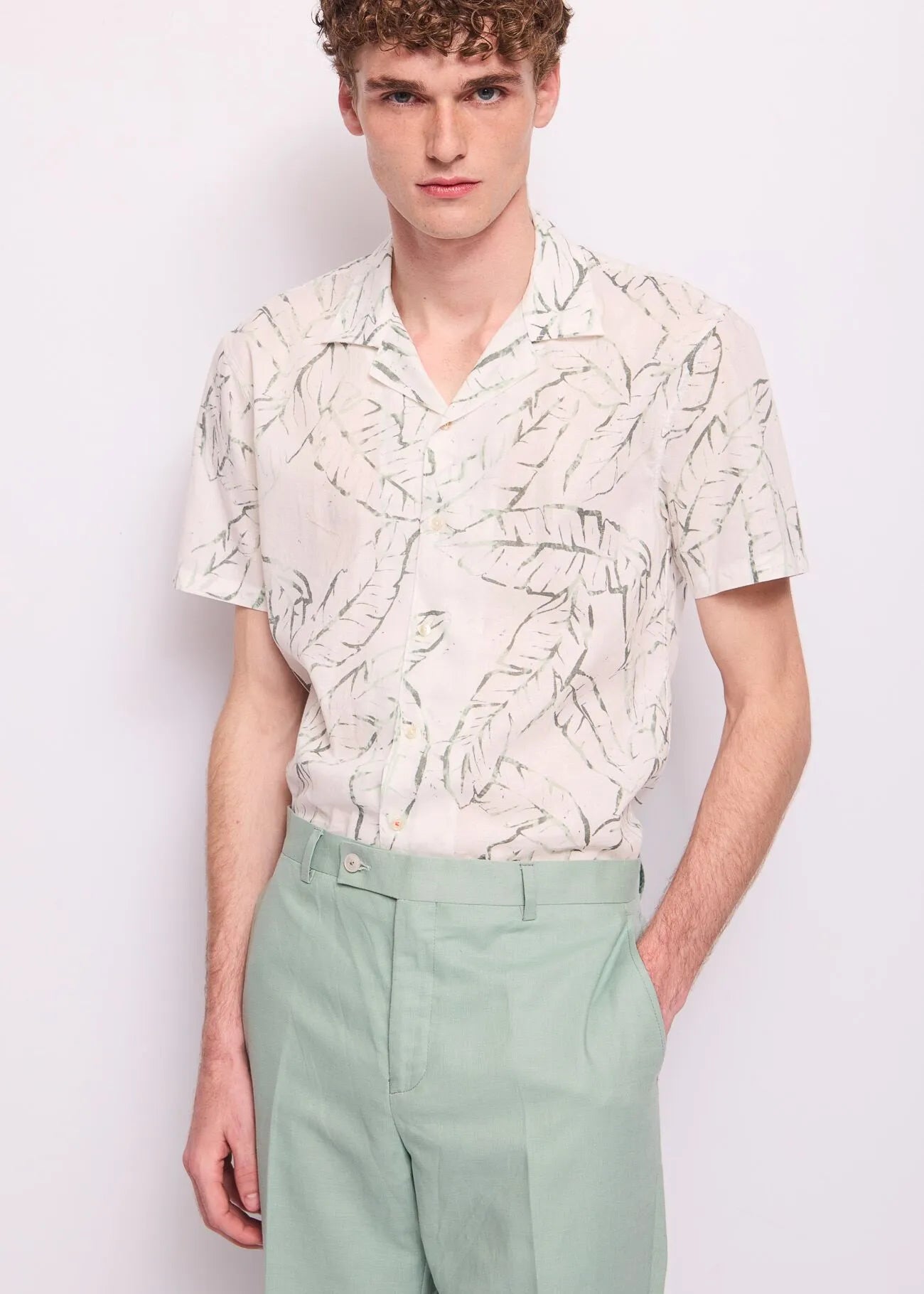 CAMISA HOJAS MANGA CORTA - GAUDÍ