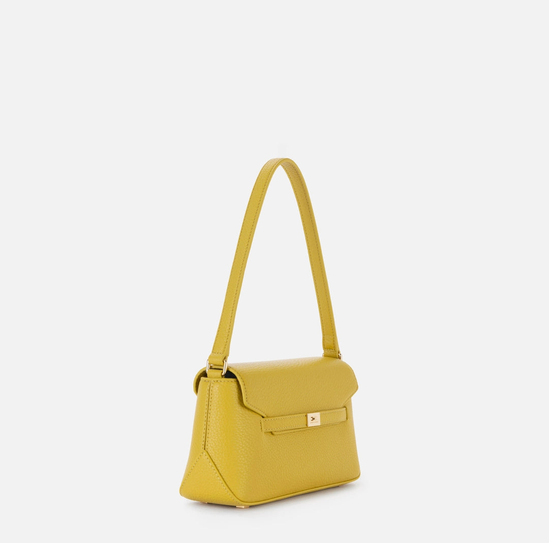 BOLSO LISO - ELISABETTA FRANCHI