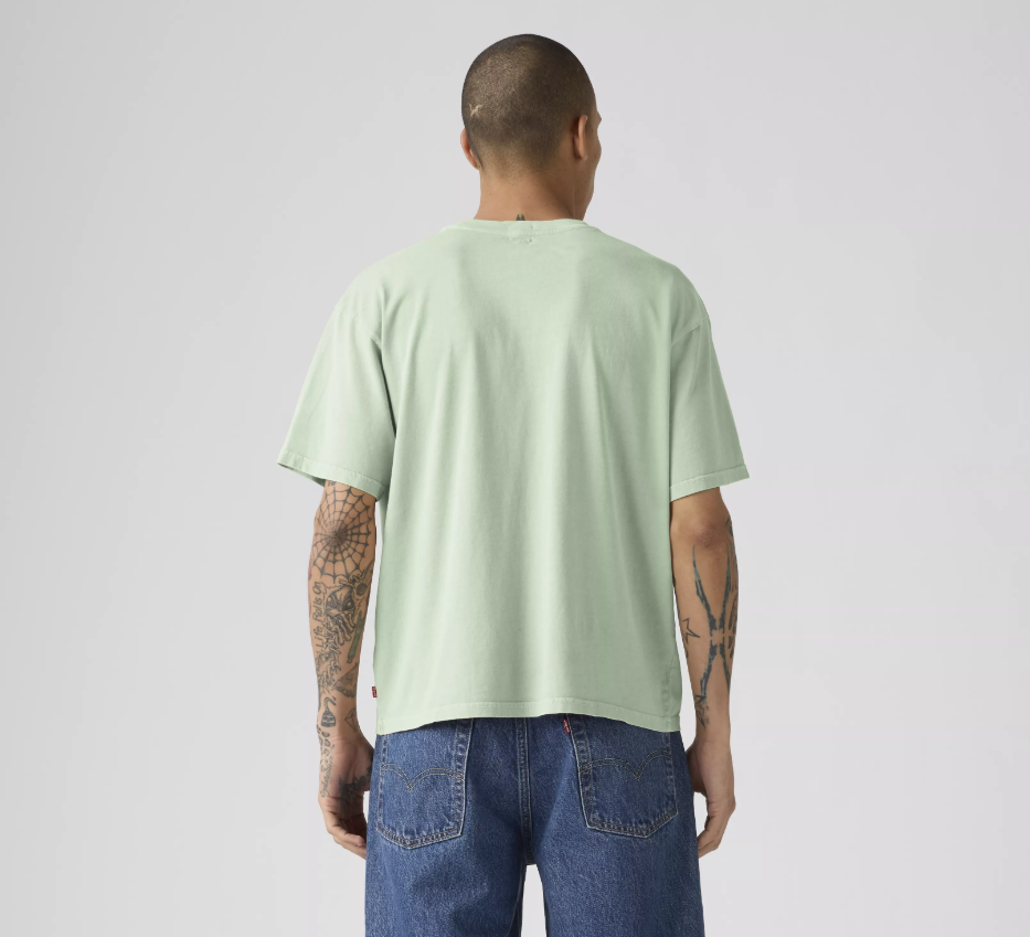 CAMISETA CACTUS - LEVI'S®